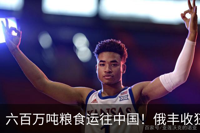 六百万吨粮食运往中国！俄丰收狂销刷出新纪录，我们在依赖它吗？