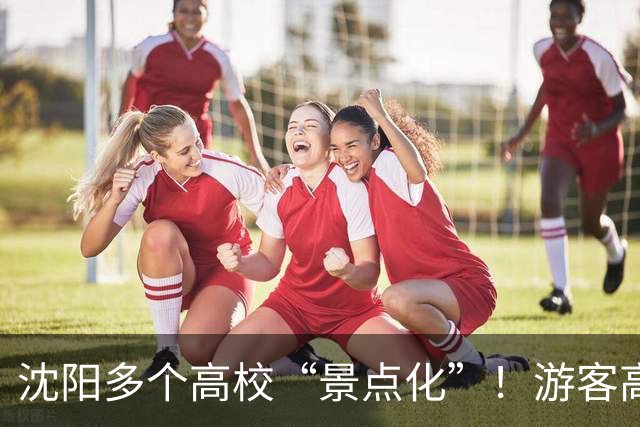 沈阳多个高校“景点化”！游客高兴，学生却懵了...